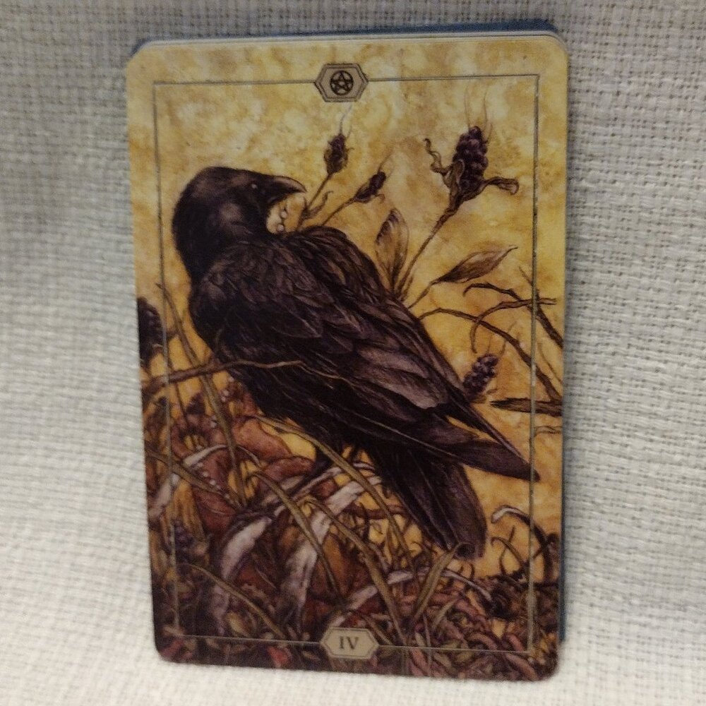 Hush Tarot - Picture 14 of 15
